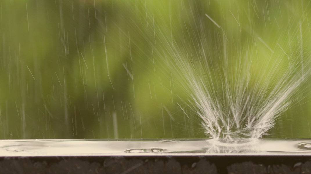  【彩色人生】 牧會默觀  人拿甚麼來換生命