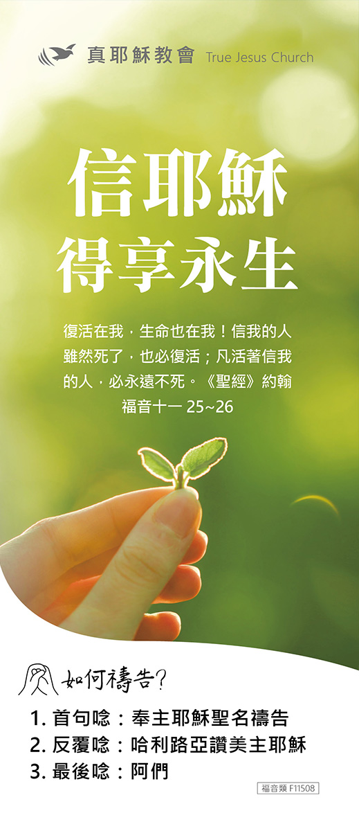 F11508 信耶穌得享永生