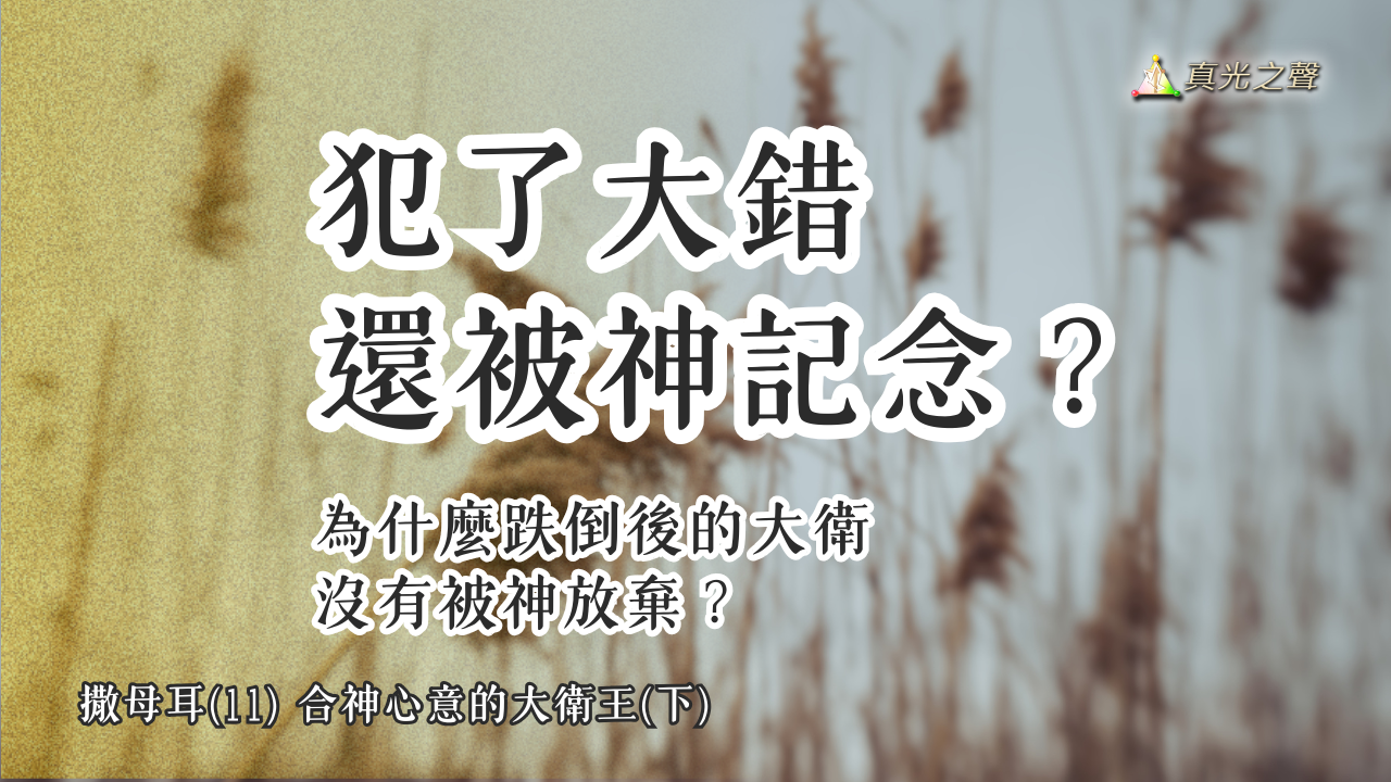 撒母耳(11) 合神心意的大衛王(下)